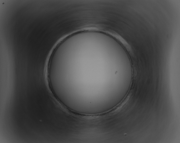 X0000100971240200806241157