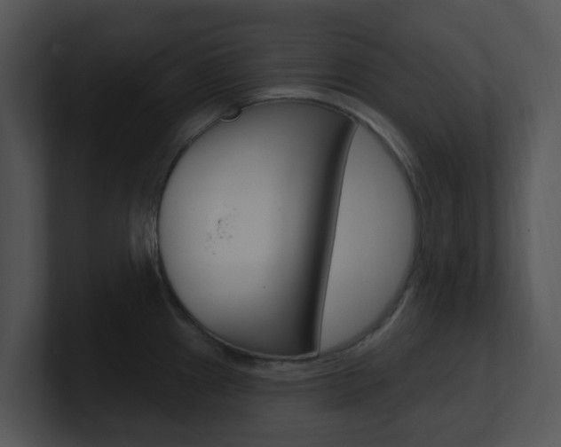 X0000100971241200806241157