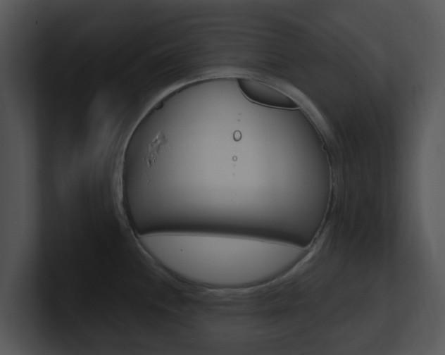 X0000100971244200806241157