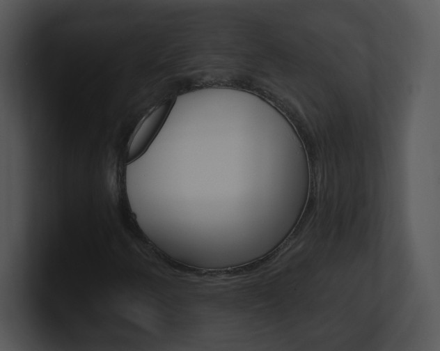 X0000100971250200806241156