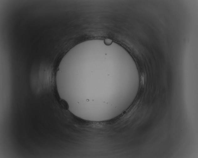 X0000100971251200806241156