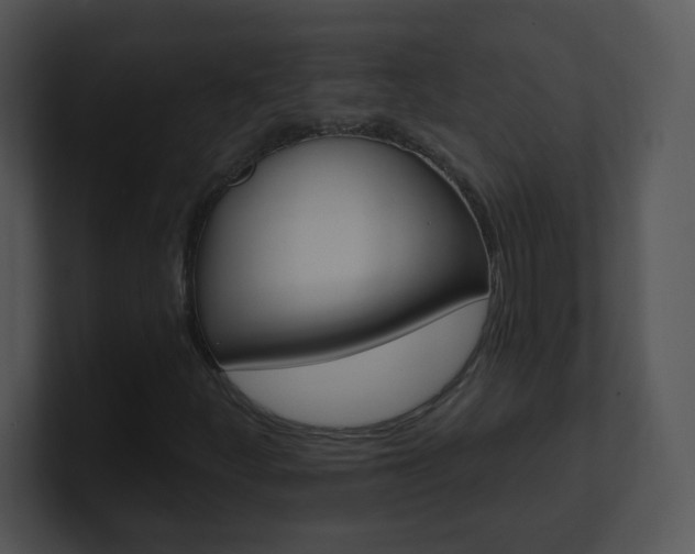 X0000100971252200806241156