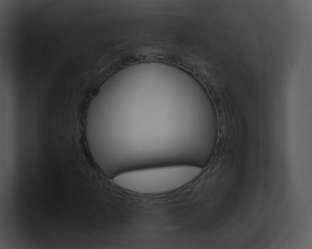 X0000100971253200806241156