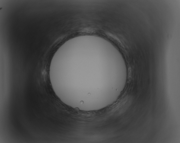 X0000100971254200806241156