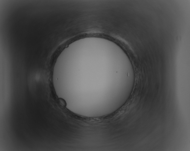 X0000100971255200806241156
