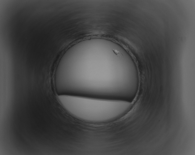 X0000100971257200806241156