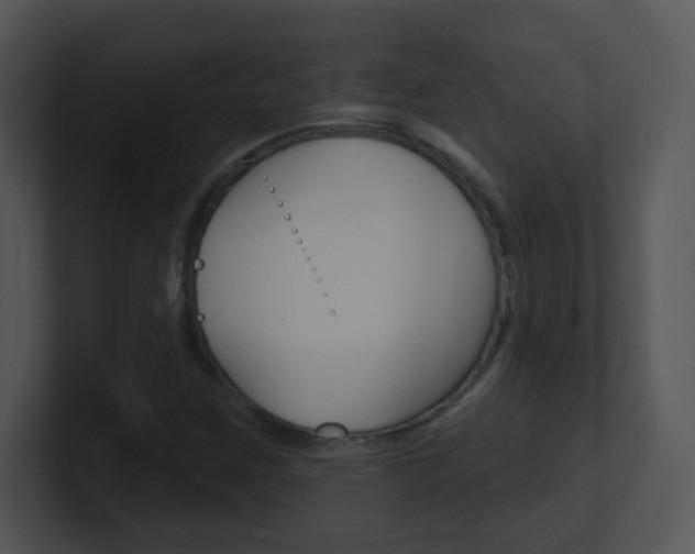X0000100971259200806241156