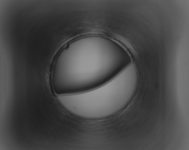 X0000100971260200806241156