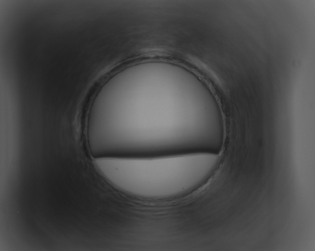 X0000100971261200806241156