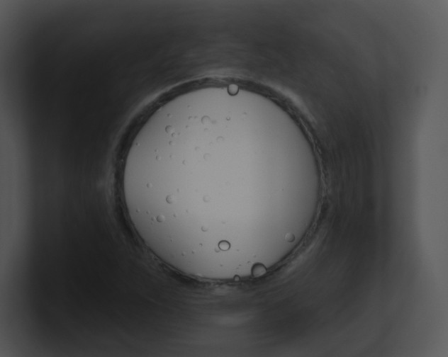 X0000100971263200806241156