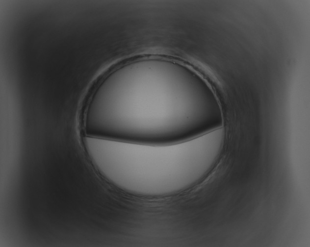 X0000100971264200806241156