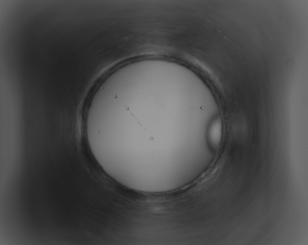 X0000100971267200806241156