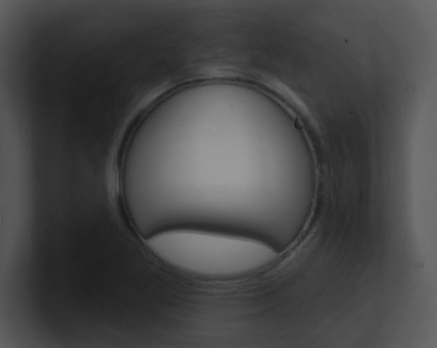 X0000100971269200806241156