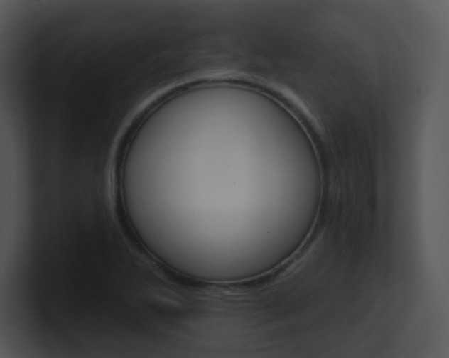 X0000100971270200806241156