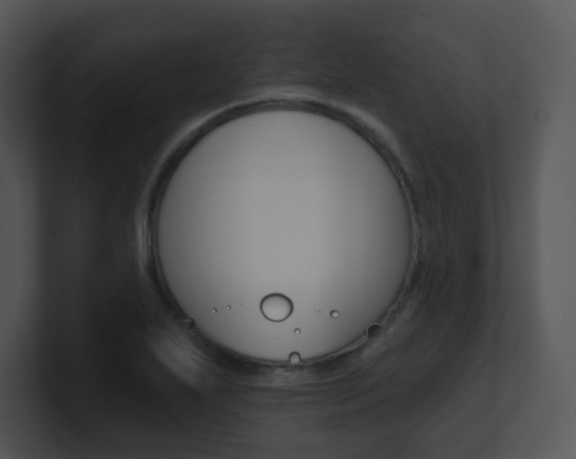 X0000100971271200806241156