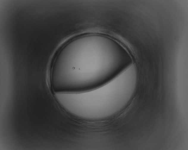 X0000100971272200806241156