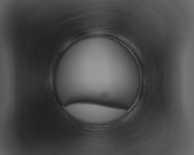 X0000100971273200806241156