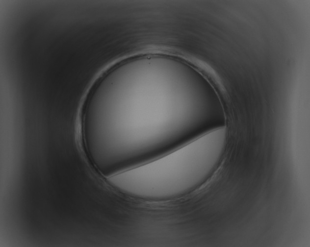 X0000100971280200806241156