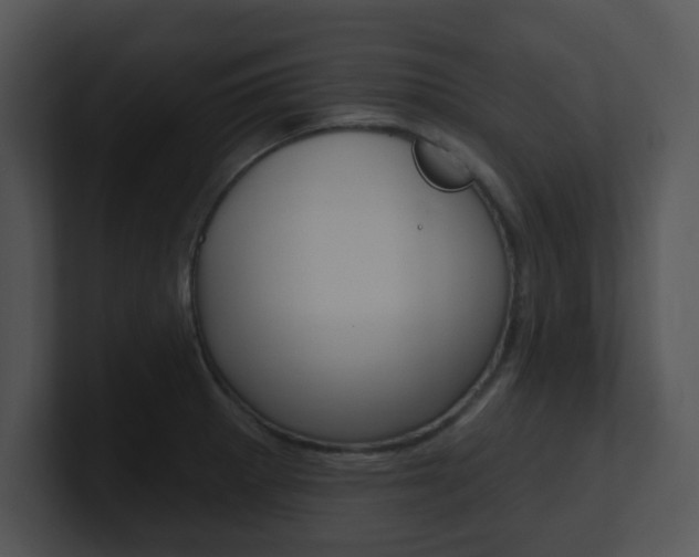 X0000100971281200806241156