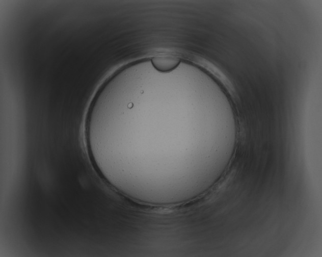 X0000100971283200806241156
