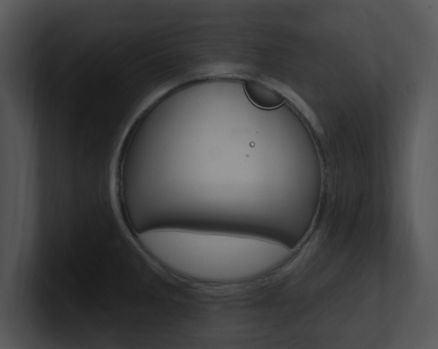 X0000100971285200806241156