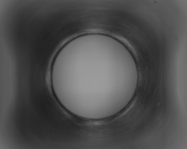X0000100971286200806241156