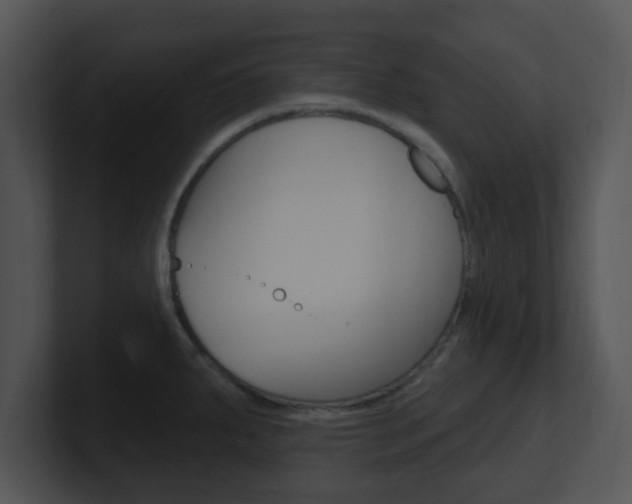 X0000100971287200806241156