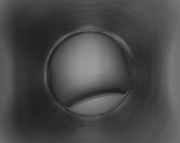 X0000100971288200806241156