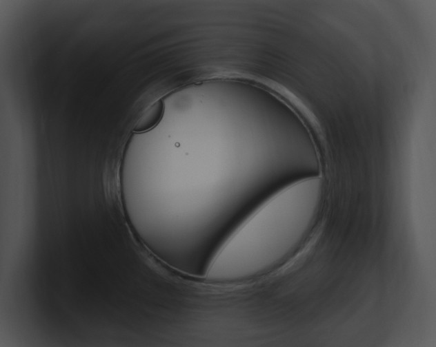 X0000100971289200806241156