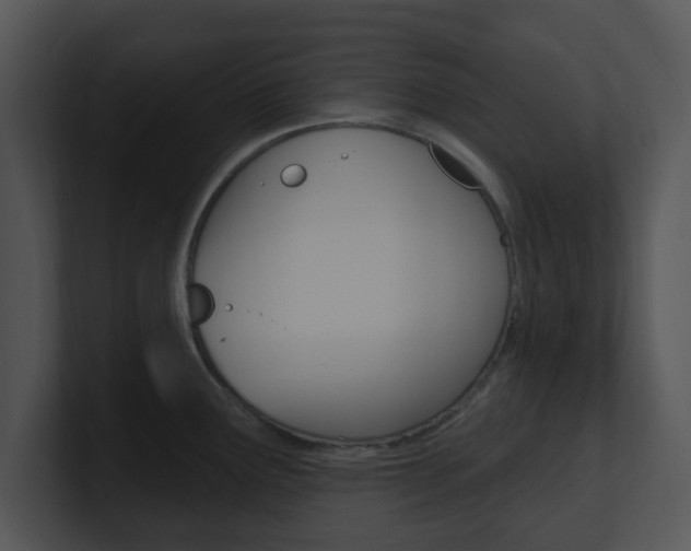 X0000100971291200806241156