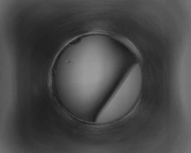 X0000100971292200806241156