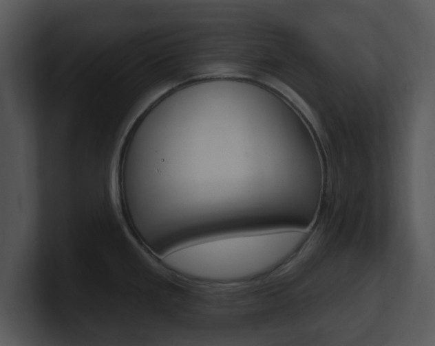 X0000100971293200806241156