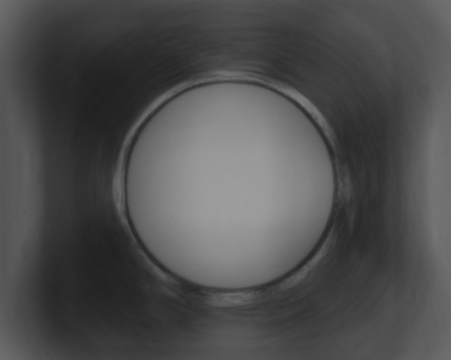 X0000100971294200806241156