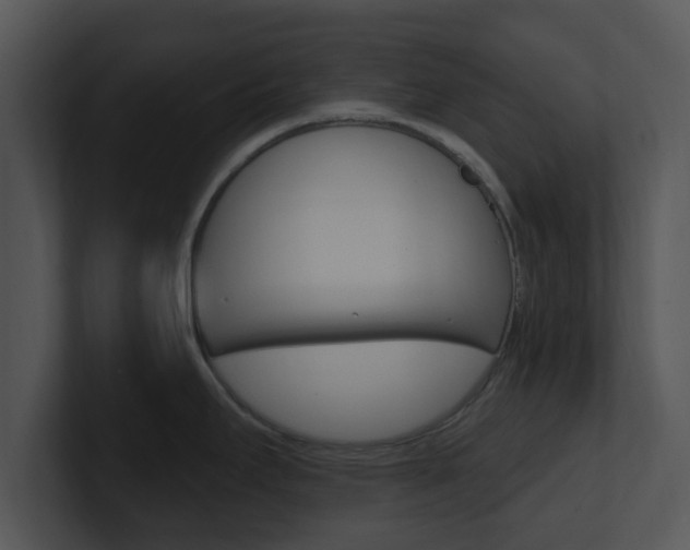 X0000100971295200806241156