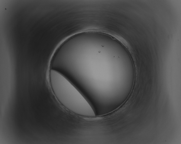 X0000100971296200806241156