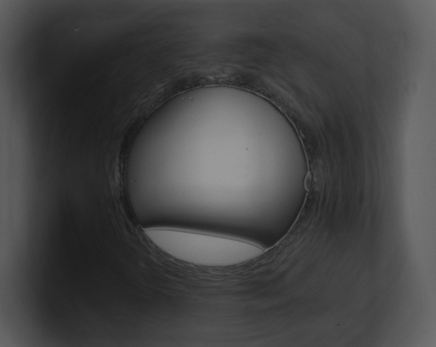 X0000100971298200806241155