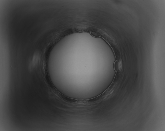 X0000100971299200806241155
