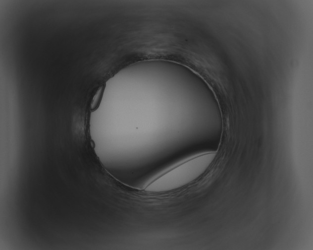 X0000100971300200806241155