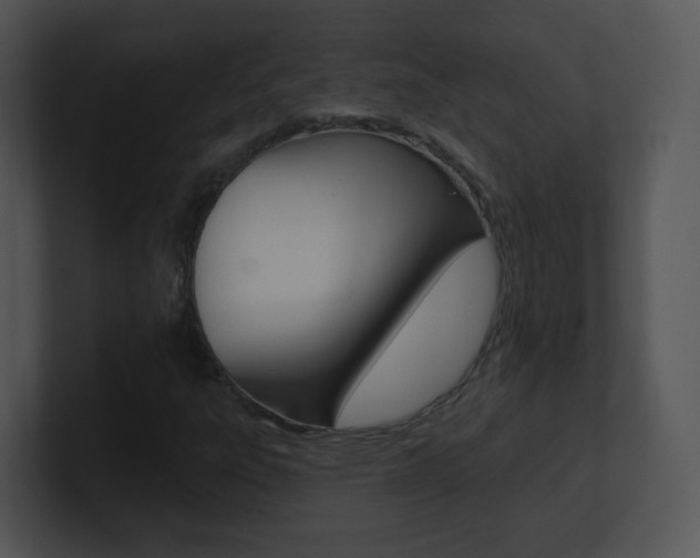 X0000100971303200806241155