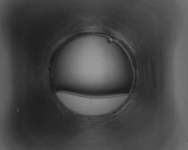 X0000100971304200806241155