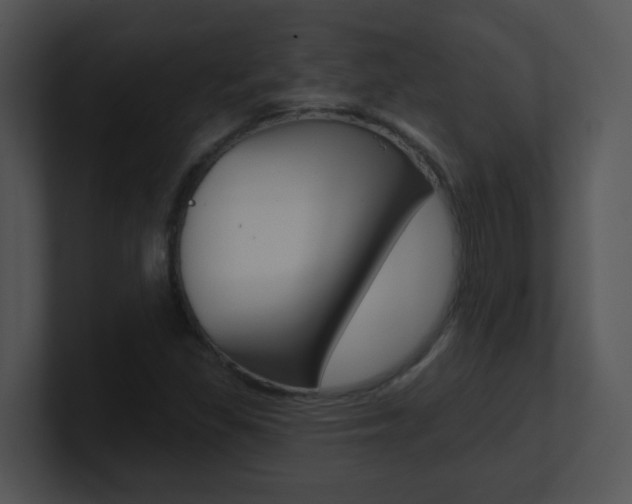 X0000100971309200806241155