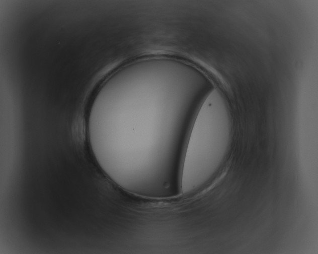 X0000100971317200806241156
