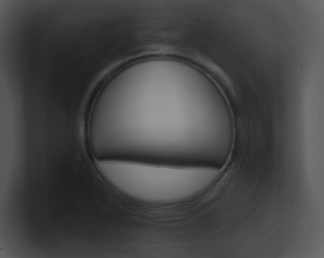 X0000100971318200806241156