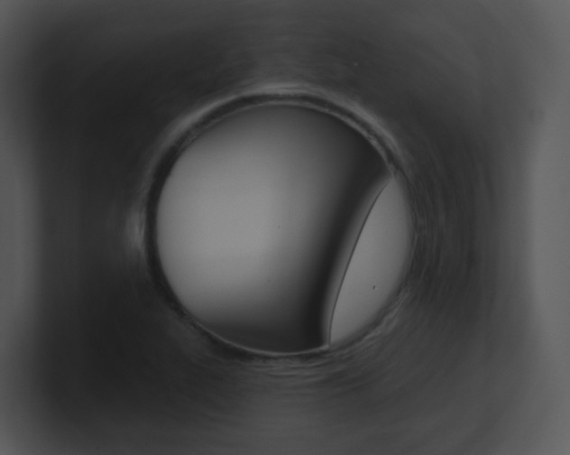 X0000100971319200806241156