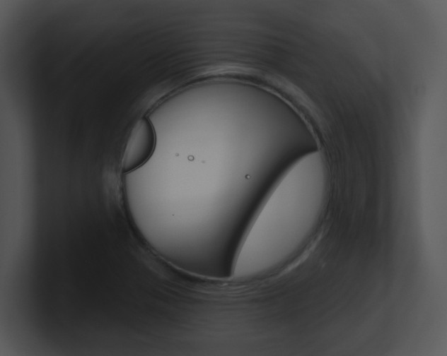 X0000100971321200806241156