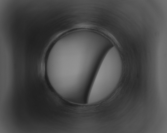 X0000100971323200806241156