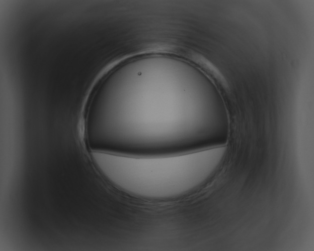 X0000100971324200806241156