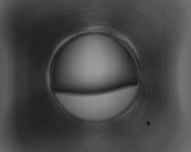 X0000100971328200806241156
