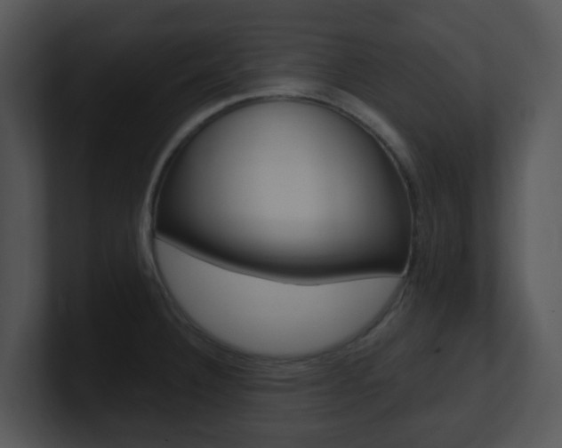X0000100971332200806241156