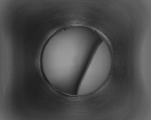 X0000100971333200806241156